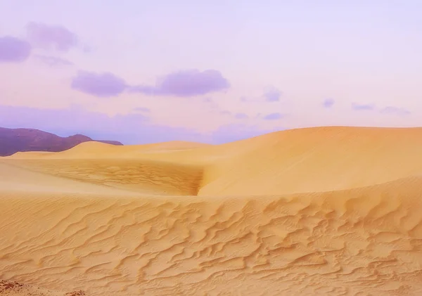 Wydmy Wzorem Wiatrem Pustyni Górami Tle Dzikość Wyspie Sokotra — Zdjęcie stockowe