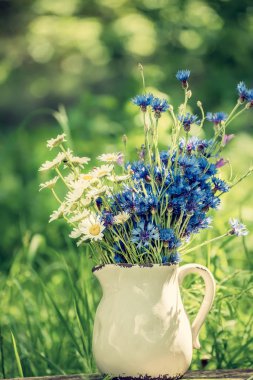 Bahçede bir sürahi içinde rmoashki ve mavi Peygamber çiçegi buketi. Vintage tarzı