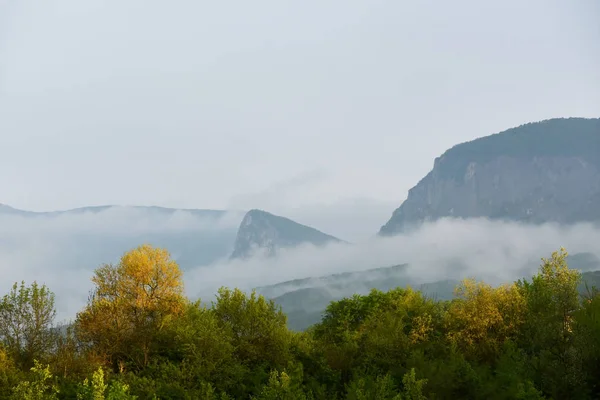 Spring in the mountains. Mist descending among the mountains and bright green trees.