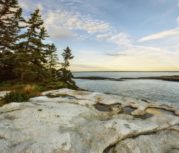 Erövringen Atlanten Rocky Shore Och Kalla Träd Klippa Solnedgången Maine — Stockfoto
