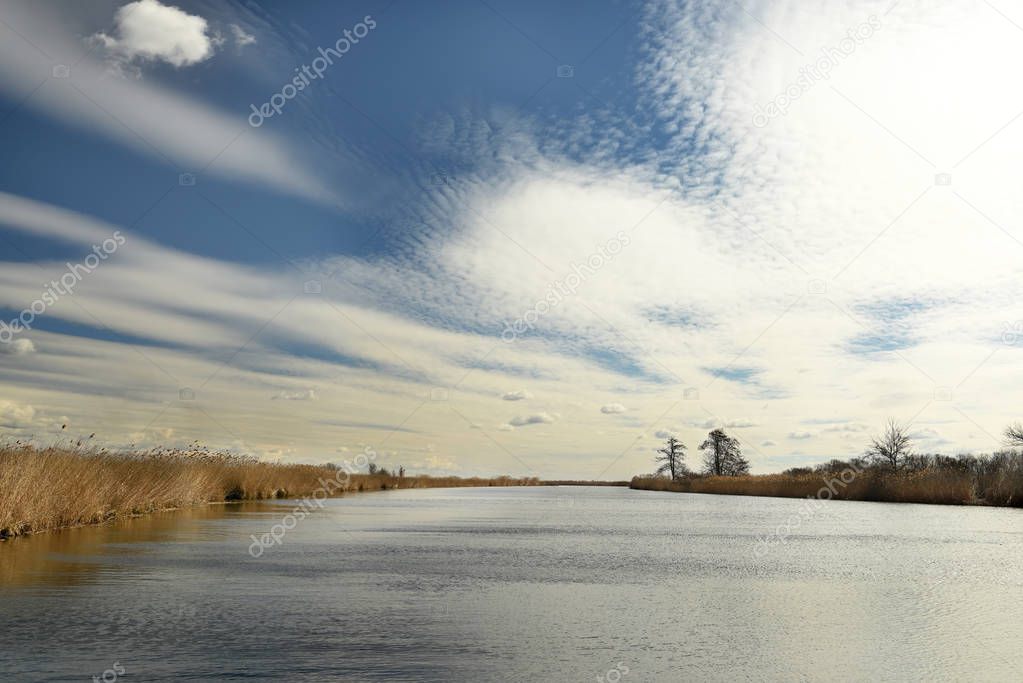 Dnieper River Delta. National park. River and wild reed marshes.