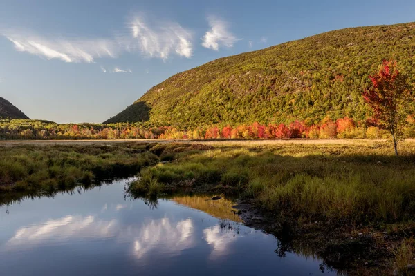 Sjön Bland Kuperade Skogsklädda Berg Usa Maine Acadia National Park — Stockfoto