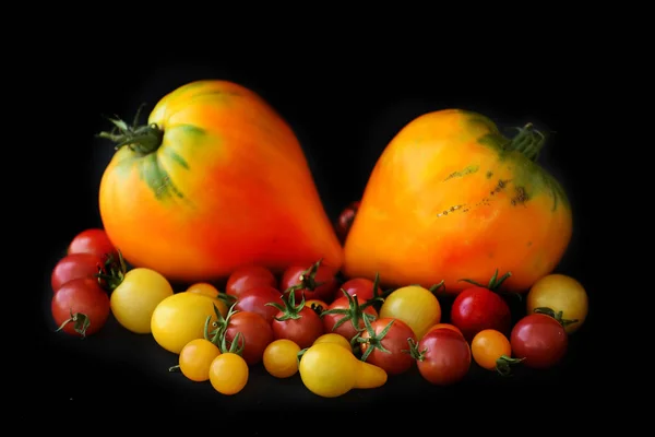 Diferentes Variedades Tamaños Tomates Sobre Fondo Negro —  Fotos de Stock