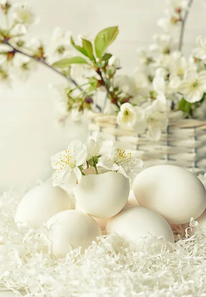 Wielkanoc Jeszcze Życie Delikatne Jasne Zdjęcie Jaj Wiśniowych Kwiatów — Zdjęcie stockowe