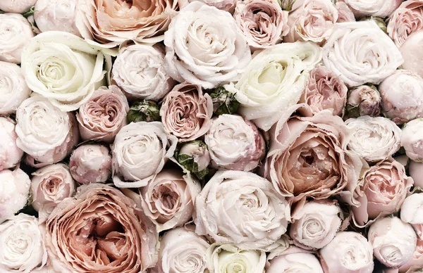 Beaucoup Boutons Rose Délicats Sont Une Vue Dessus Style Vintage — Photo