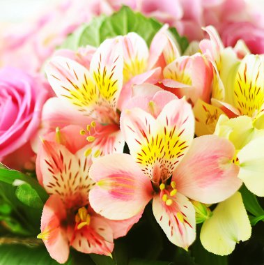 Freesia ve gül narin buket. Kartpostal.