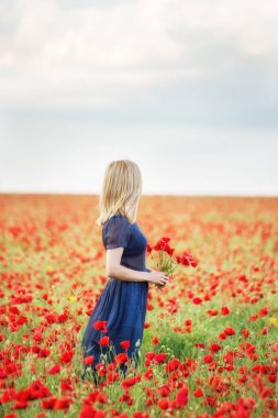 Kırmızı haşhaş çiçek ve kırmızı haşhaş bir buket ile bir kız bir çiçek tarlası.