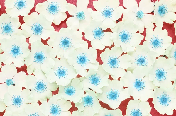 Background of delicate flowers . Floral background.