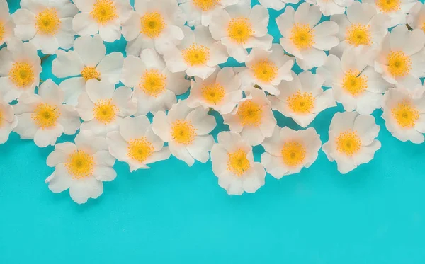 Background of delicate  flowers . Floral background.