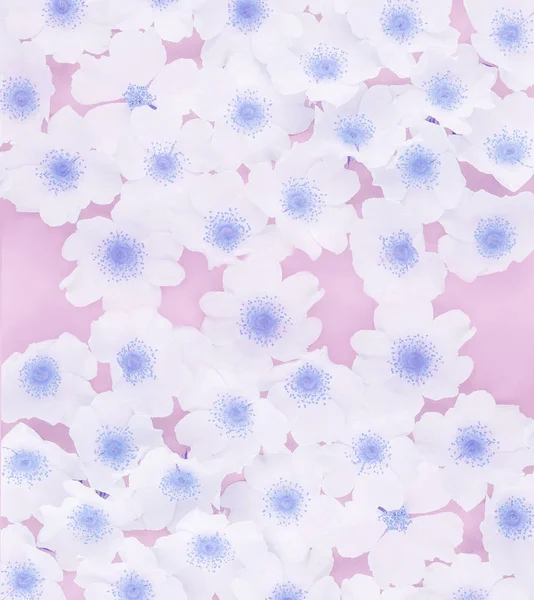 Background of delicate  flowers . Floral background.