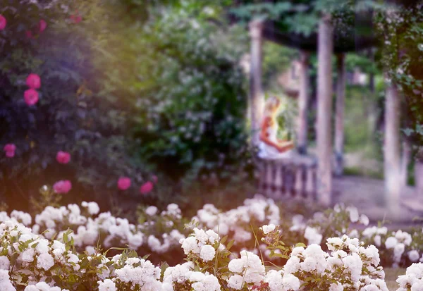 재스민과 장미의 푹신한 덤불에 전망대 정자에 여자의 실루엣 — 스톡 사진