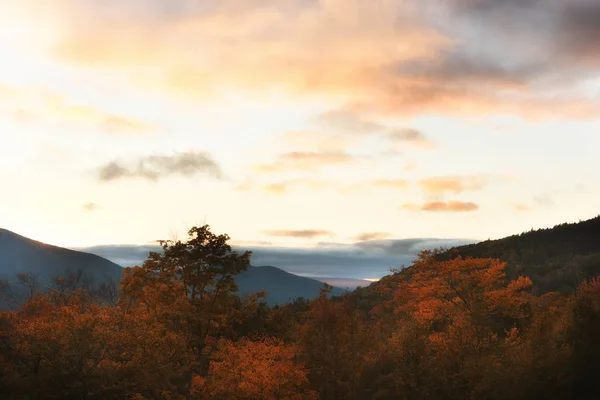 Bewaldete Berge Und Rosa Wolken Auf Den Gipfeln Bei Sonnenuntergang — Stockfoto