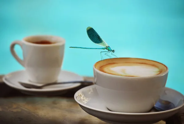 Libélula Azul Agachándose Borde Una Taza Capuchino Agua Piscina Fondo — Foto de Stock