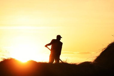 Manuel saman hasat işlemi. Batan güneşin arka planında bir yaba ile saman toplayan bir adamın silueti.