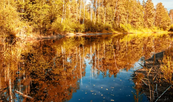 Vista Outono Lago Com Árvores Douradas Acima Água — Fotografia de Stock