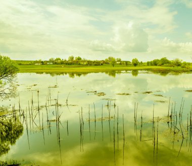 Rezervuar kıyısında kırsal evler. Bahar güneşli parlak bir gün. Ukrayna.