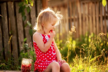 Bahçede ahududu çilek bir kanaat ile küçük bir kız ahududu çilek yiyor.