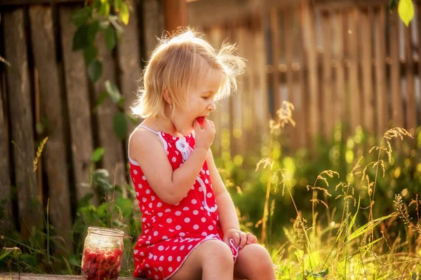 Una Niña Pequeña Con Una Lata Frambuesas Jardín Está Comiendo — Foto de Stock