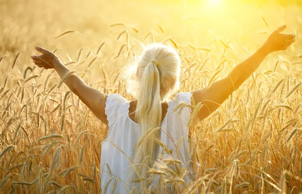 An old woman with long gray hair stands with her back with her arms spread out to the side in a field with golden ears of cereal crops in the sunset light.