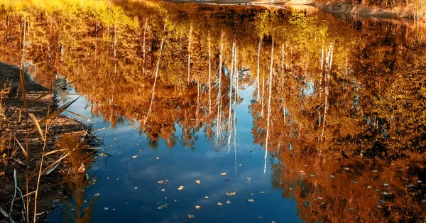 Φθινοπωρινή Θέα Μιας Λίμνης Χρυσά Δέντρα Πάνω Από Νερό — Φωτογραφία Αρχείου