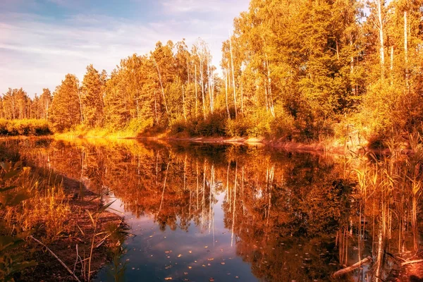 Suyun üzerinde altın ağaçları olan bir gölün sonbahar manzarası.