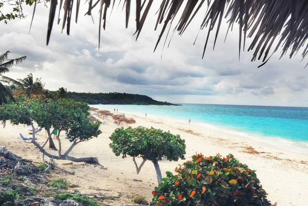 Tatil Insanlarla Tropikal Plaj Görünümü Karayipler Tropchisek Adasında Dinlenin Karayip — Stok fotoğraf