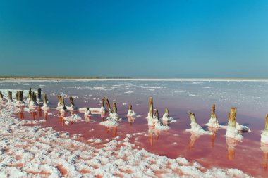 Eski ahşap mesajlar bir tuz gölün kıyısında madencilik tuz sonra sol. Parlak pembe su ile tuzlu pembe göl üzerinde tuz barlar. Su yüzeyinde bulutların yansıması.