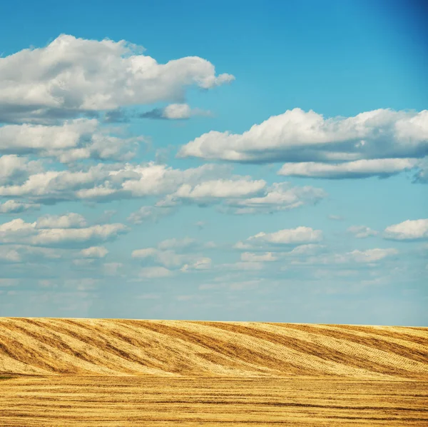 Paisaje Minimalista Colinas Rayadas Cultivos Cosechados Campos Cielo Con Nubes — Foto de Stock