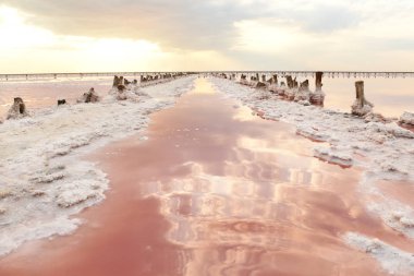 Gün batımında pembe su ve tuz ile benzersiz tuz gölü. Tuz kristalleri ile kaplı ahşap sütunlar satır.