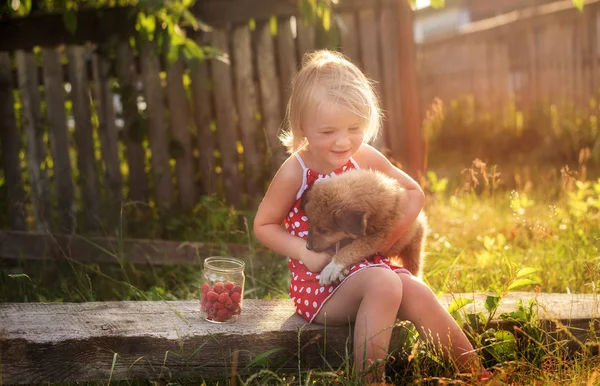 Klein Meisje Het Platteland Knuffels Een Beetje Pluizig Puppy Buurt — Stockfoto