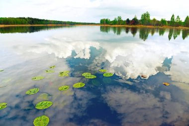Ormanla çevrili sakin bir göl. Gök gürültüsü bulutlarının sudaki yansıması.