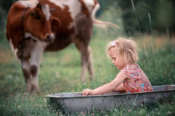 Klein Meisje Een Waterbad Een Groene Weide Een Koe Achtergrond — Stockfoto