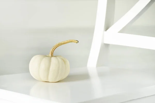 White pumpkin in a white interior. Creative photo of the fruit of a white pumpkin.