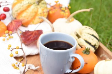 Kahve ve farklı sonbahar meyveleri, yaprakları, dekoratif mini kabaklar ile Fincan. Bahçede Sonbahar natürmort.