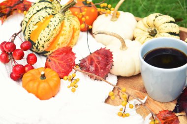 Kahve ve farklı sonbahar meyveleri, yaprakları, dekoratif mini kabaklar ile Fincan. Bahçede Sonbahar natürmort.