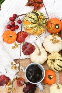 Kahve ve farklı sonbahar meyveleri, yaprakları, dekoratif mini kabaklar ile Fincan. Bahçede Sonbahar natürmort.