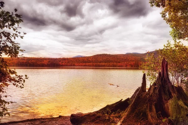 Jezero Mezi Horami Pokrytých Lesy Podzimní Krajiny Národní Park Bílého — Stock fotografie