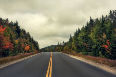 Dağlar arasında uzanan yol, sonbahar parlak ormanı ve dramatik gökyüzüyle büyümüş. Beyaz Dağ Milli Parkı. Abd. Yeni Hamshire.  