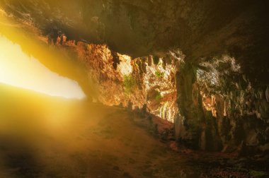 Lümeniçine doğru vahşi bir mağaranın iç görünümü. Vahşi bir mağaranın içindeki sarkıt ve dikitler. Yemen. Sokotra adası.