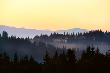 Dağlar gün batımında yamaçlarda büyük ladin ağaçları ve evleri ile kaplı.