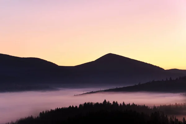 Paisaje Montaña Amanecer Majestuosas Montañas Cubiertas Árboles Coníferas Niebla — Foto de Stock