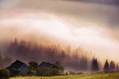 Dağlarda inanılmaz güzel gün doğumu. Sisli ormanda iğne yapraklı ağaçlar ve güneş ışınları, dağlarda bir açıklıkta küçük evler.