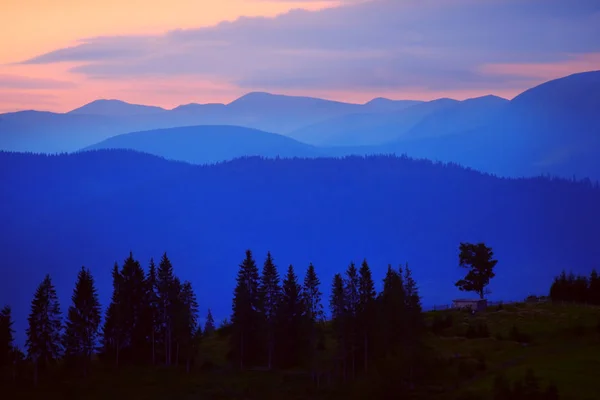 Incrivelmente Belo Nascer Sol Nas Montanhas Árvores Coníferas Nevoeiro Raios — Fotografia de Stock