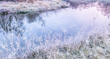 Geç sonbahar. Ağaçlar ve çimler arasında beyaz boğuk buzla kaplı bir göl. sabah ın erken saatlerinde.