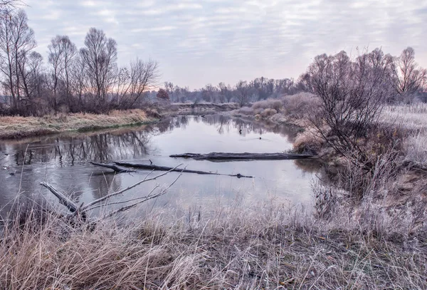 Pozdní Pád Jezero Mezi Stromy Trávou Pokryté Bílým Kopytu Časné — Stock fotografie