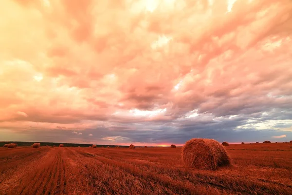 Una Gavilla Redonda Heno Campo Trigo Cosechado Una Hermosa Puesta — Foto de Stock