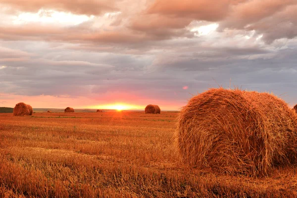 在收获的麦田里 一丛干草和美丽的日落 — 图库照片