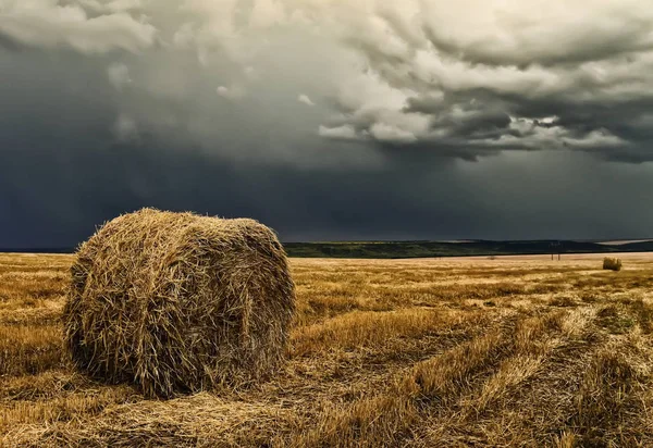 收获在田野和暴风雨的天空后 稻草的圆带 — 图库照片