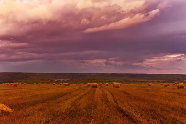 Una Gavilla Redonda Heno Campo Trigo Cosechado Una Hermosa Puesta — Foto de Stock