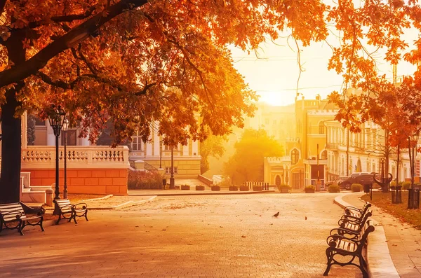 Eski binaları olan sonbahar şehri. Bulvar, banklar ve sarı yapraklı ağaçlar. Odessa. Ukrayna.
